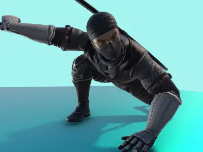 Ninja Fighter Animated With 54 Animations Game Ready Low-poly 3D model