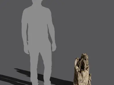  Medium Broken Decaying Stump Model 