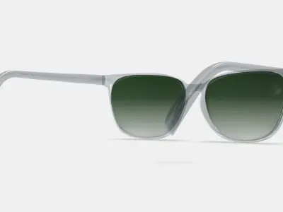 Esme Low Bridge Fit Sunglasses in Crystal 3D model