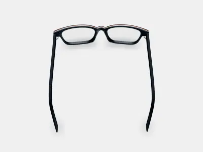 Crane Low Bridge Fit Eyeglasses in Black Matte Eclipse 3D model