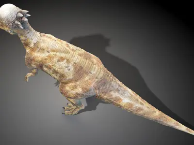 Pachycephalosaurus 3D model