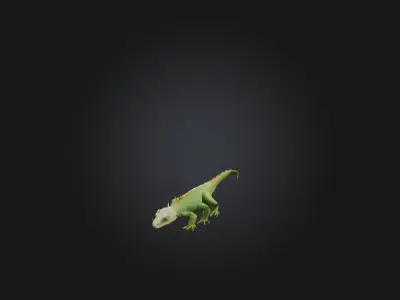 Realistic Lizard Model Low-poly 3D model