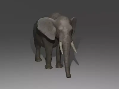 Elephant Rigged Low-poly 3D model purchase