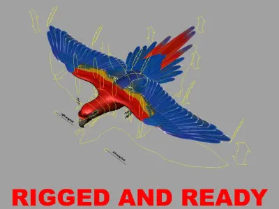 Ara Macao 'Scarlet Macaw Parrot' 3D model