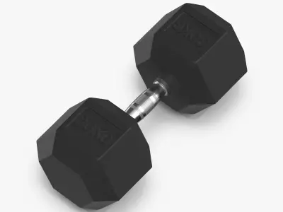 Rubber Dumbbell 30kg 3D model