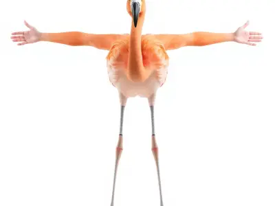 Unique Flamingo Creature model pack Low-poly 3D model