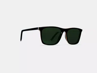 Fletcher Sunglasses in Black Matte Eclipse 3D model