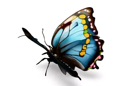 Realistic Blue Butterfly 3D Model Low-poly 3D model