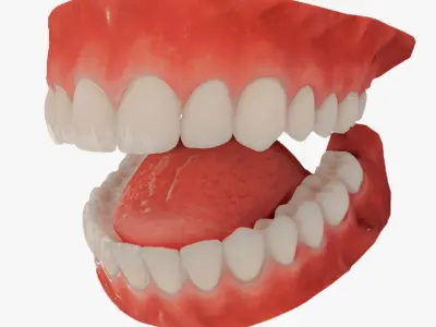  Realistic Mouth Teeth for character 