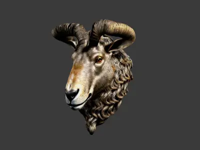 Animal Head Low-poly 3D model 7