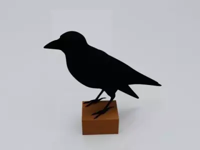 Crow  model 3D model