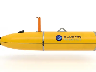 Bluefin21 3D model