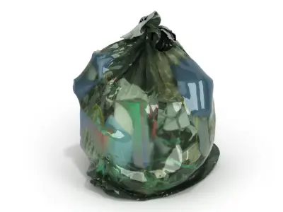 Garbage sculpture of woman in plastic bag 3D model