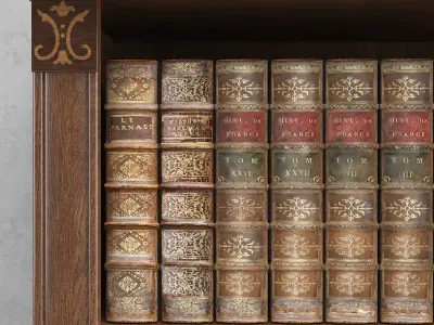 Old Books Library Panamar 825 3D model