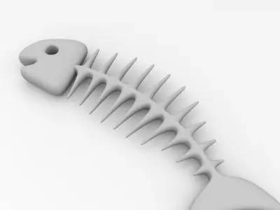 Fish Bone 3D model buy