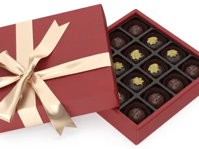 Camellia Flower with Chocolate Box Collection 3D model