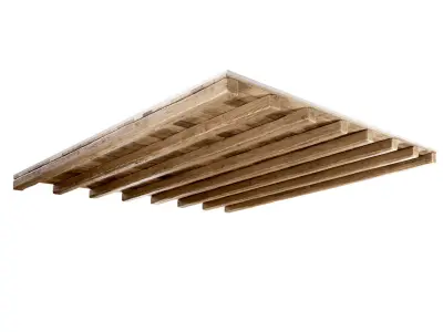 Wooden ceiling  3D model