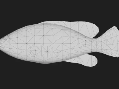 Grouper Low-poly 3D model purchase
