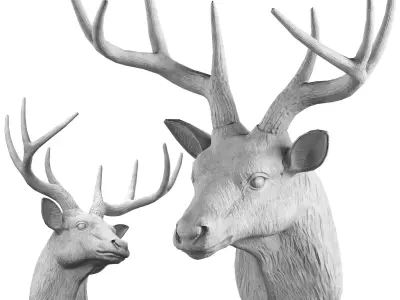 Deer Head Trophy Taxidermy by lllax Low-poly 3D model