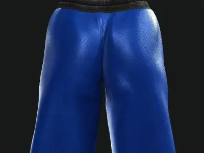 Boxing Shorts - Blue Low-poly 3D model