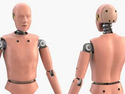 Crash Test Dummy 1 Rigged Biped 3D model