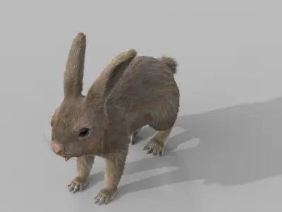 rabbit FURRIGGED 3D model