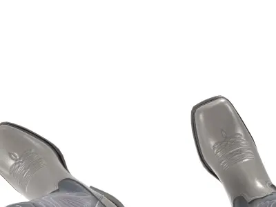Grey Stitch Cowgirl Boots 3D model