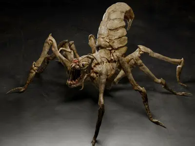 Spider creature 3D model