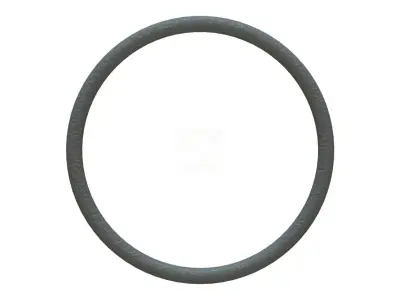 O Ring Vedabras 12986 3D model