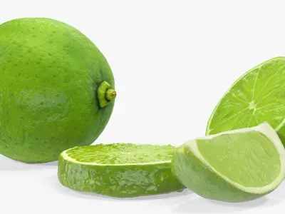 Lime Collection 3D model