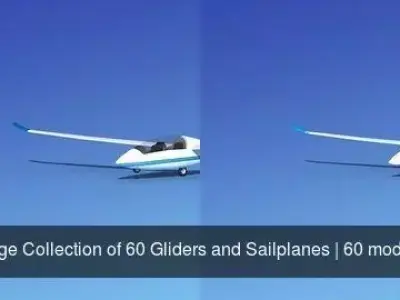 Large Collection of 60 Gliders and Sailplanes 3D Model Pack