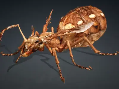 Ant Monster-V1e 3D model