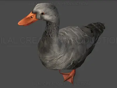 DUCK GRAY ANIMATED Low-poly 3D model