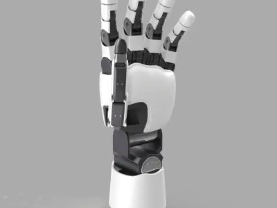 Modular Prosthetic Limb 3D model