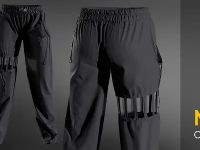 Trousers  pants  MaleFemale Clo Marvelous designer project  OBJ 3D model