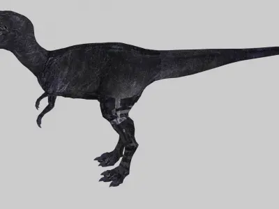 Albertosaurus t - rex Free 3D model