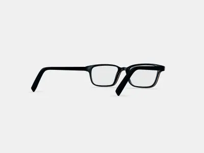 Crane Low Bridge Fit Eyeglasses in Black Matte Eclipse 3D model