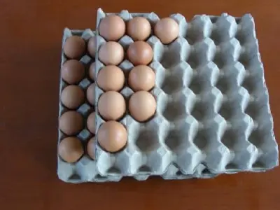 Egg Tray Mold 3D model