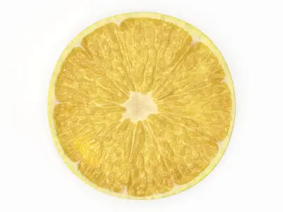  Lemon Slice(1) 