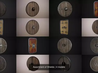 Assortment of Shields 3D Model Pack
