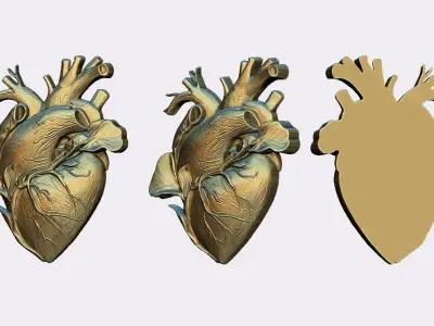 Heart 03 3D print model purchase