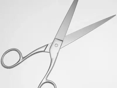 Scissors pair of 3D model 2