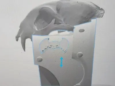nostroman lion cat top plate 3D model