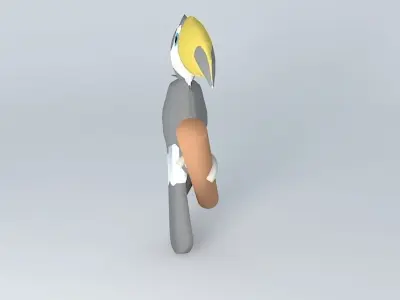 Toucan (Ramphastos toco Free 3D model