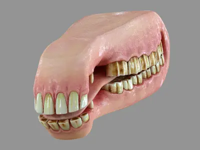  Horse Mouth HD 