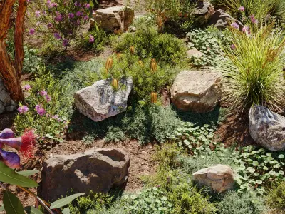 Collection 29 - Australian Plants 3D model