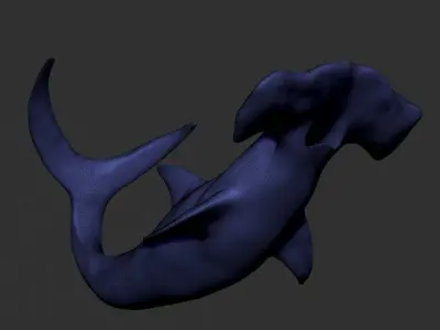 3D Hammer Shark 3D model