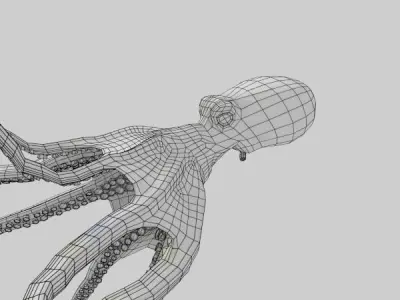 Octopus 3D model 5