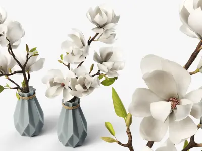 Magnolia Flower Branch in Faceted Vase White 3D model