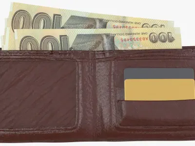 zimbabwe 100 Dollars Wallet Money Purse 3D model
